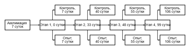 Схема эксперимента